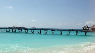 IMG_6757.MOV