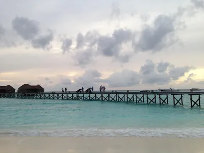 IMG_6613.JPG