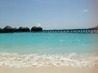 IMG_6755.JPG