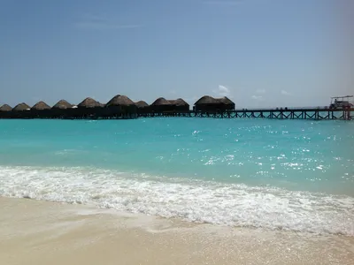 IMG_6756.JPG