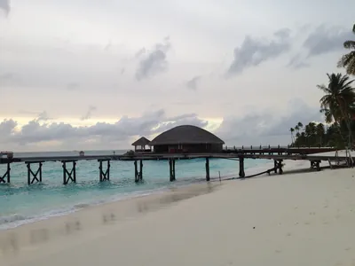 IMG_6614.JPG