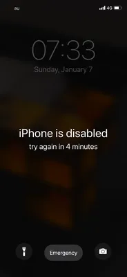 IMG_4782.PNG