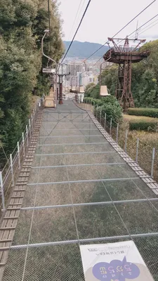 539319977.923849.jpg
