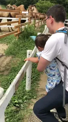 tmp_v4737952378234511991.mp4