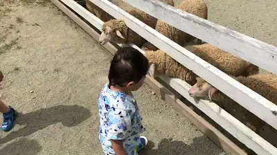 tmp_v4737952377768029092.mp4