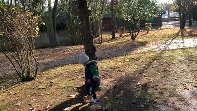 IMG_0179.MOV