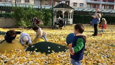 IMG_0049.MOV