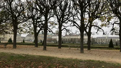 IMG_0159.MOV