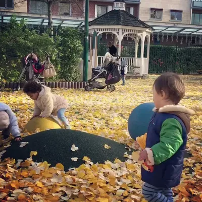 IMG_0069.mp4