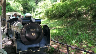 IMG_6645.MOV