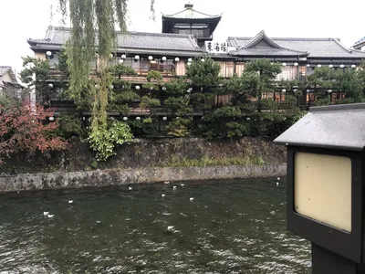 IMG_7299.HEIC