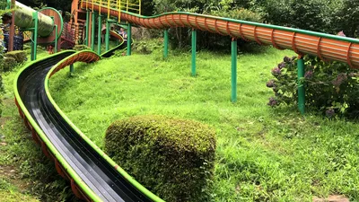 IMG_5565.MOV