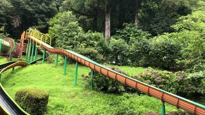 IMG_5564.MOV