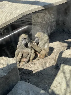 IMG_0624.HEIC