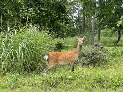 IMG_5597.HEIC