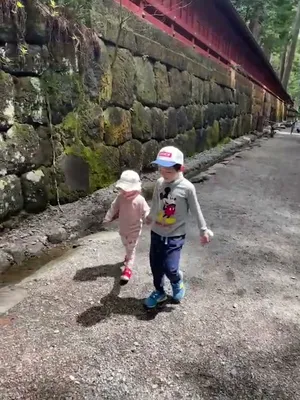 15989559104543.mp4