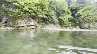IMG_1707.MOV