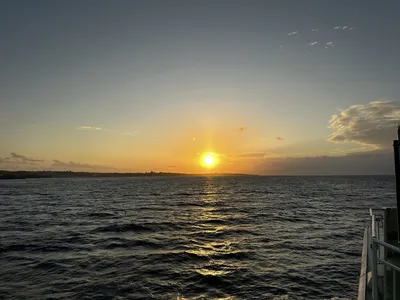 IMG_4489.JPG