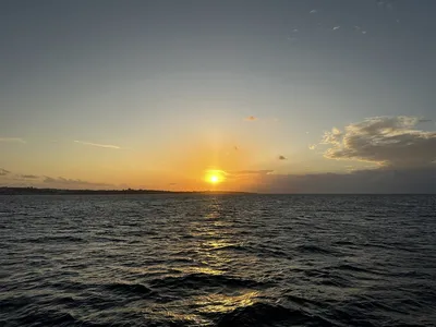 IMG_4491.JPG
