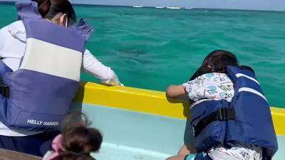 video_17025073094420-Vv0KHF8B.mp4