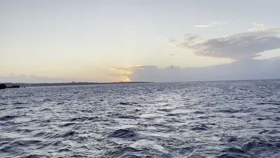 IMG_6303.MOV