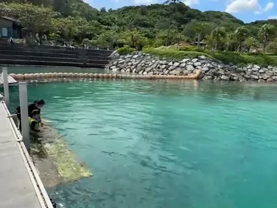 video_17015933913927-Zj1BM6cc.mp4