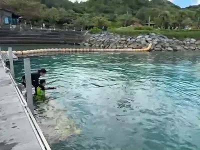 video_17015933267481-R0gOKmpF.mp4