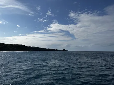 IMG_4431.JPG