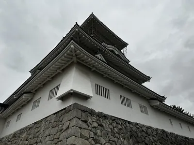 IMG_4575.JPG