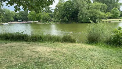 IMG_5870.JPG