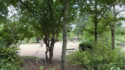 IMG_5865.JPG