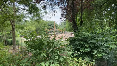 IMG_5866.JPG