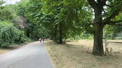 IMG_5864.JPG