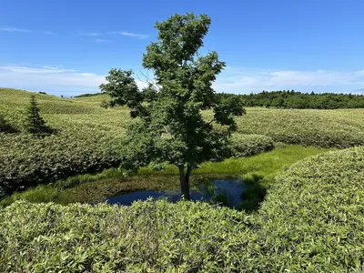 IMG_6147.JPG