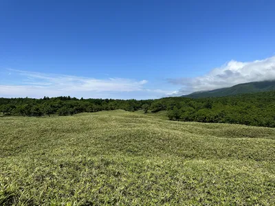 IMG_6136.JPG