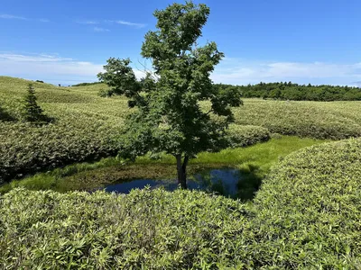 IMG_6146.JPG