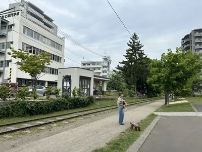IMG_6429.JPG