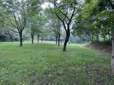 IMG_6468.JPG