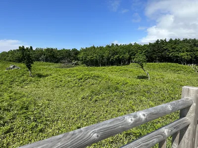 IMG_6172.JPG