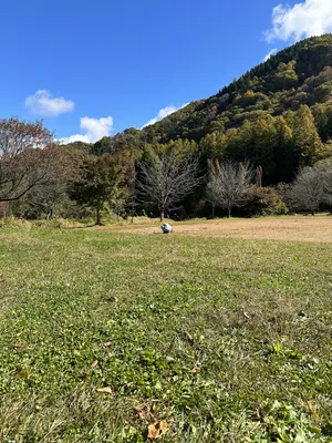IMG_7375.JPG