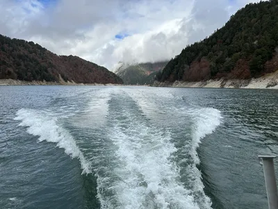 IMG_7275.JPG