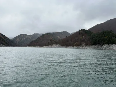 IMG_7280.JPG