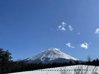 IMG_5902.HEIC
