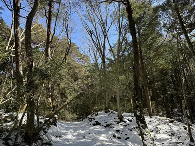 IMG_8003.JPG