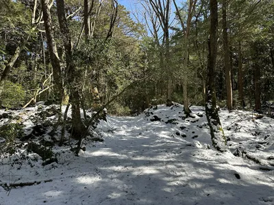 IMG_8002.JPG