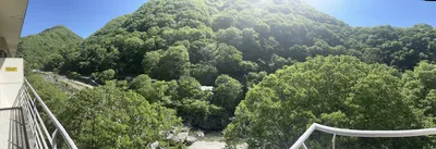IMG_8383.JPG