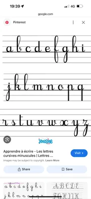 IMG_8741.PNG