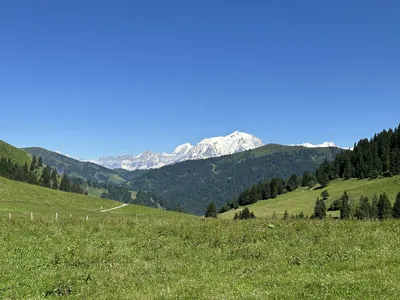 IMG_8858.JPG