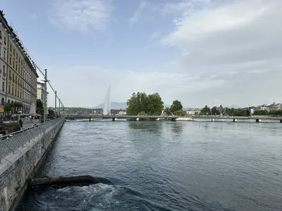 IMG_8561.JPG