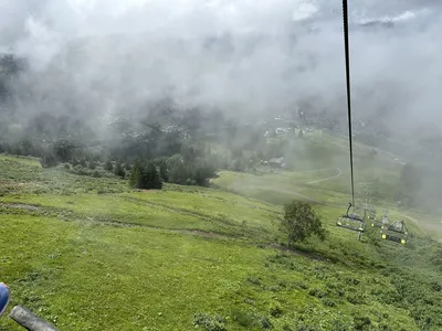 IMG_8779.JPG